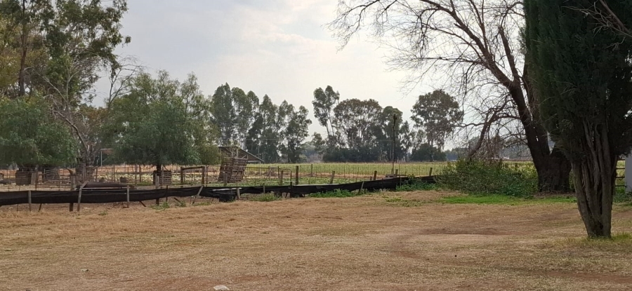 Commercial Property for Sale in Bainsvlei Free State